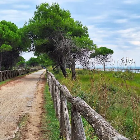Appartamento Wonderful In A Quiet Place In *